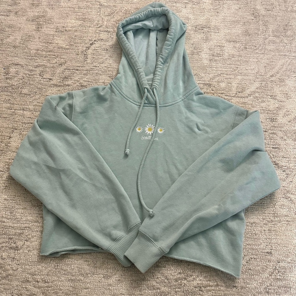 holister sage hoodie with  flower embroidery